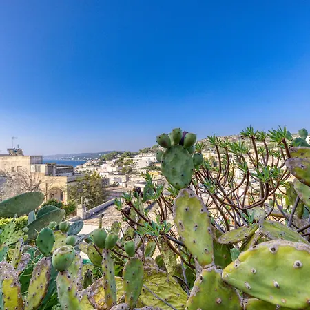 Blu La Cambusa 카스트로